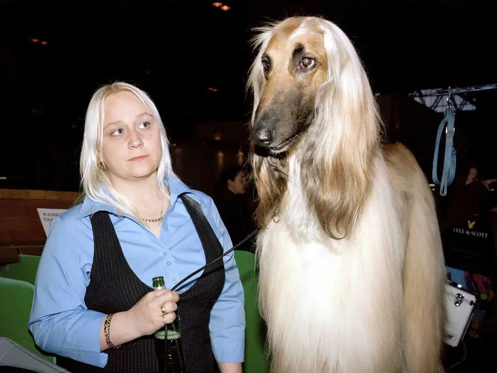 an image showing the special bond between a dog and their owner