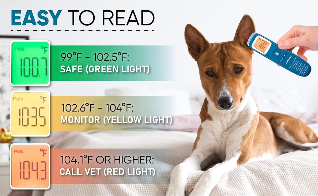 an infrared thermometer for pets.