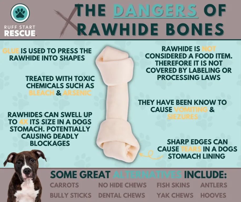 an intestinal blockage caused by aggressive chewing