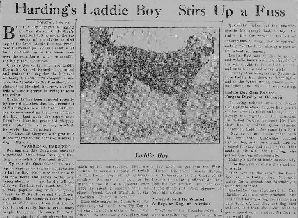 an old newspaper headline about a state passing an anti-dogfighting law