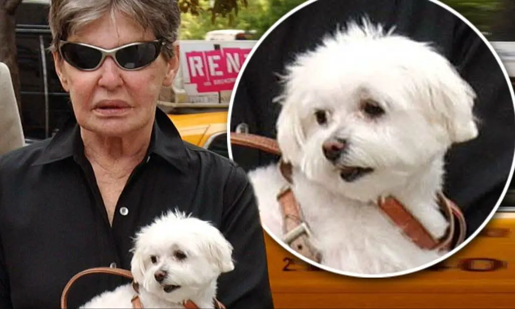 an old photo of leona helmsley holding her dog trouble