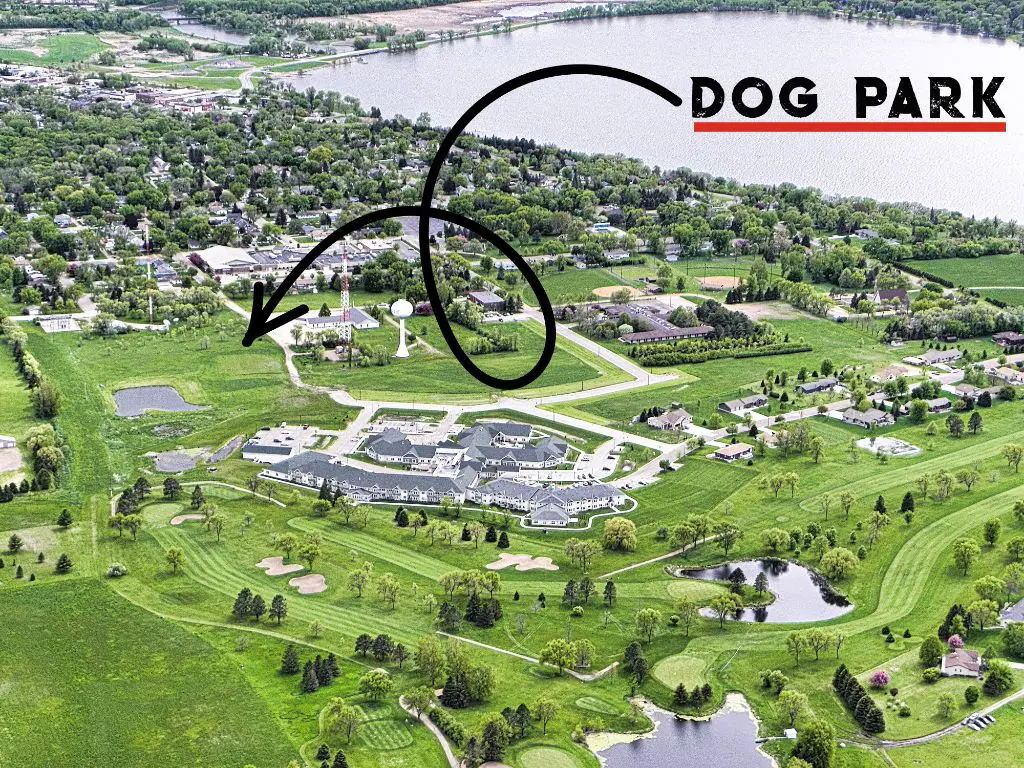 an overhead aerial view of the layout of simba and nala's dog park