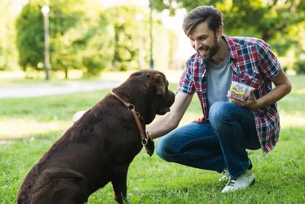 an owner giving their dog a treat and praising it by saying 'good boy!'