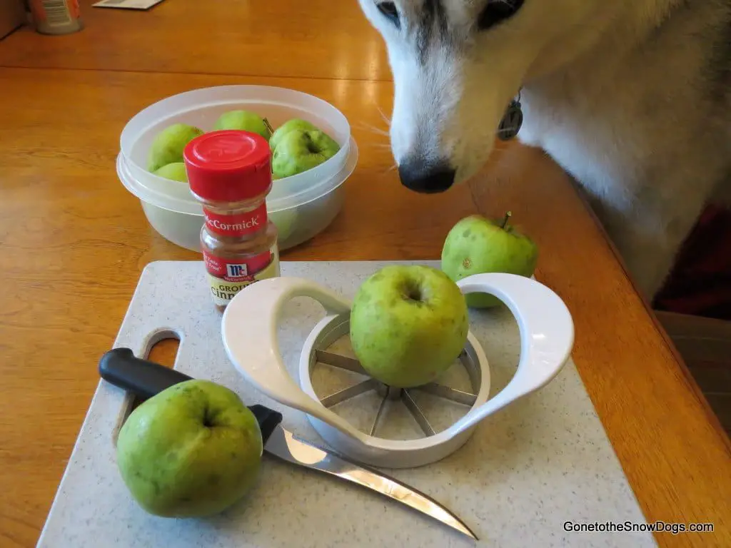 apple slices for dogs