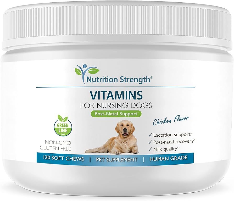 assortment of vitamin supplements for dogs