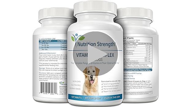 b vitamins supporting metabolism and growth in dogs