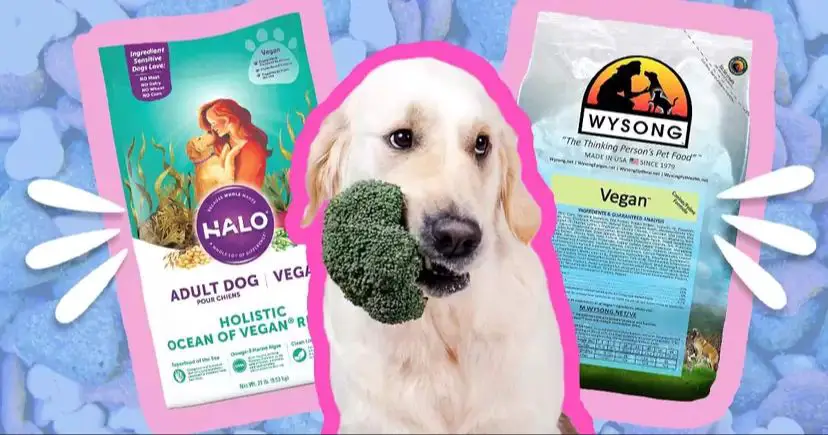 bag of vegan dog food