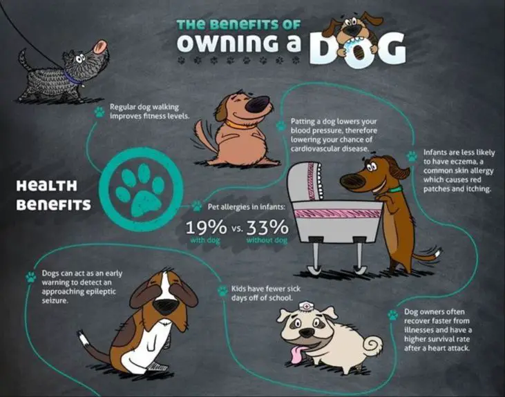 benefits of dog ownership