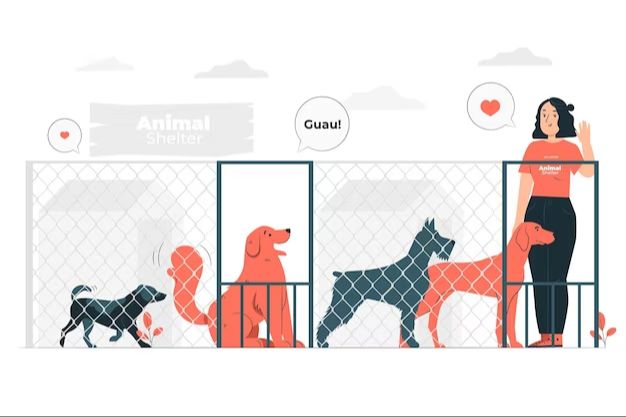 boarding duration by dog's age