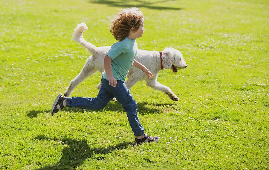 boy and dog bonding in wilderness