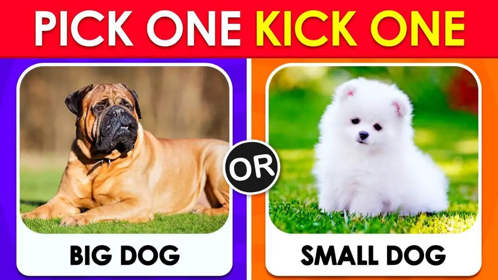 breed differences in kicking