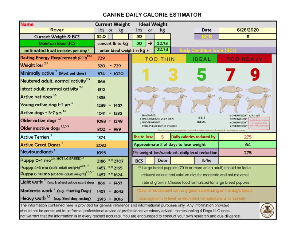 calorie needs by dog activity level