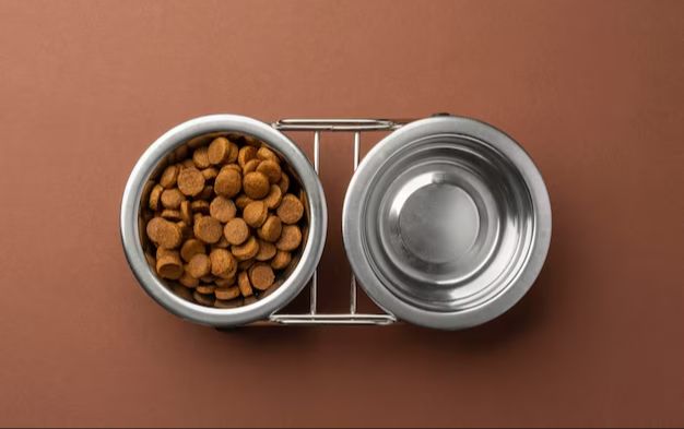 Is Purina Dog Food Making Dogs Sick? The Controversy Explained - Dog