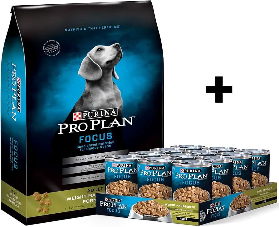 cans of wet dog food and bags of dry dog food