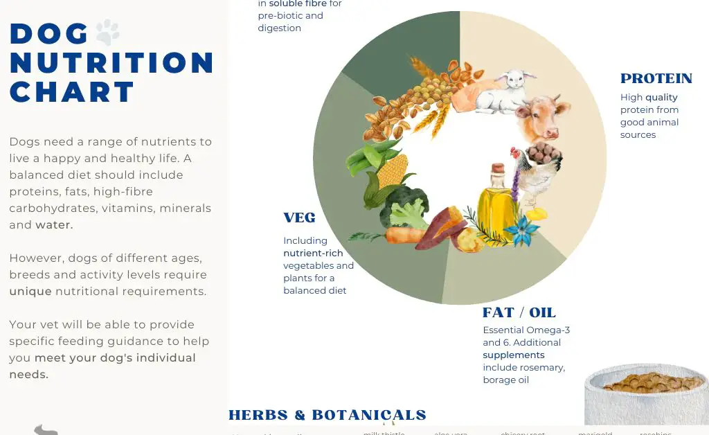 chart comparing dog and human nutritional needs