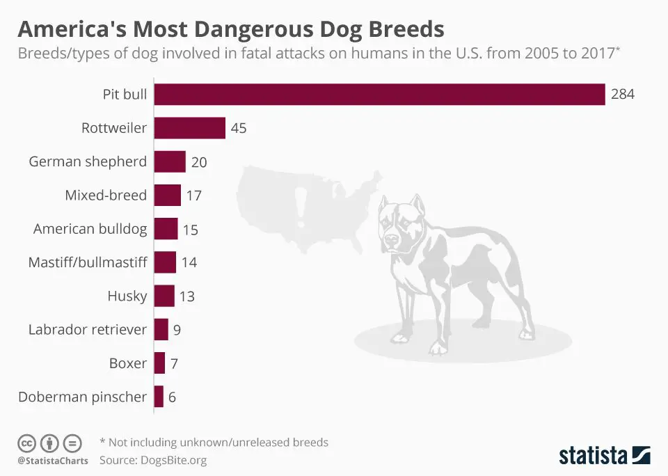 charts and graphs about dogfighting prevalence