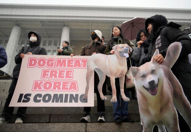 chinese animal rights activists protesting dog meat trade