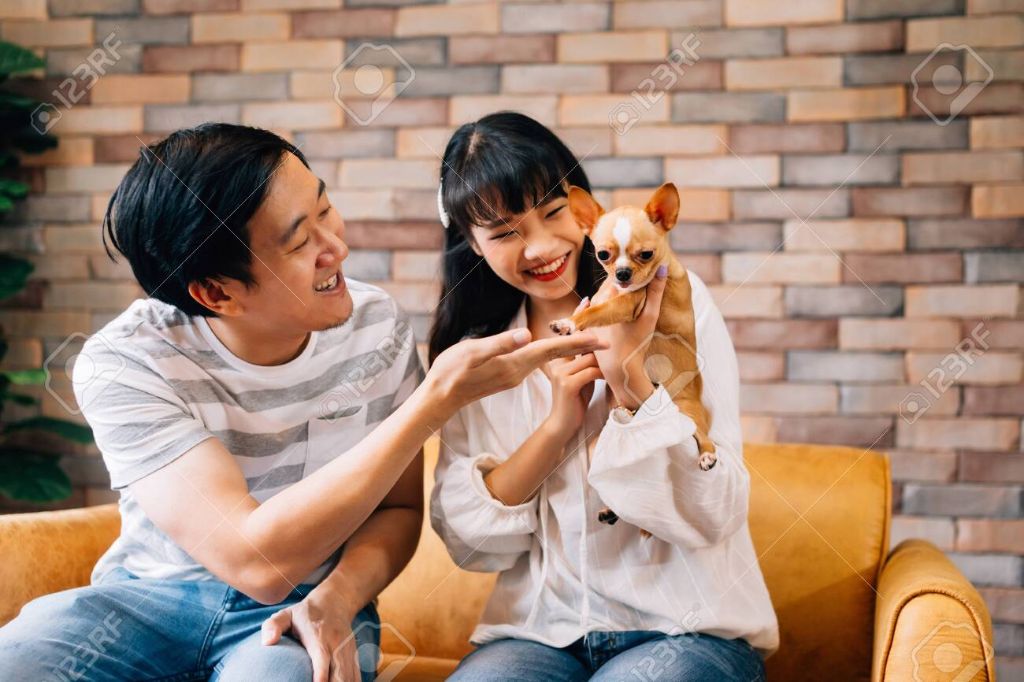 chinese family playing with their pet dog at home