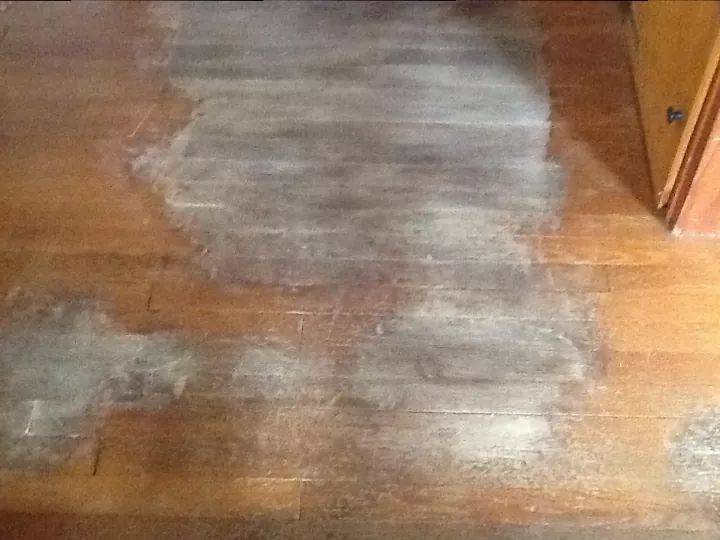 close up image showing staining and pitting on vinyl plank flooring from dog urine.