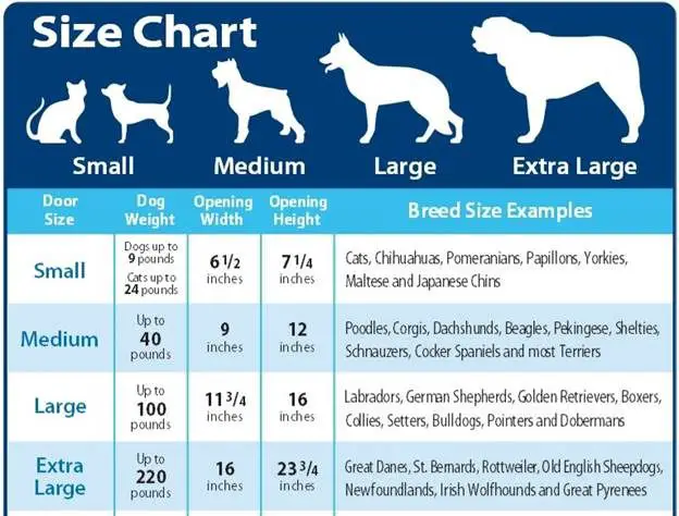 comparison of vet and groomer prices