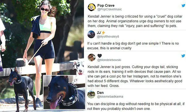 conclusion on kendall jenner and dogs