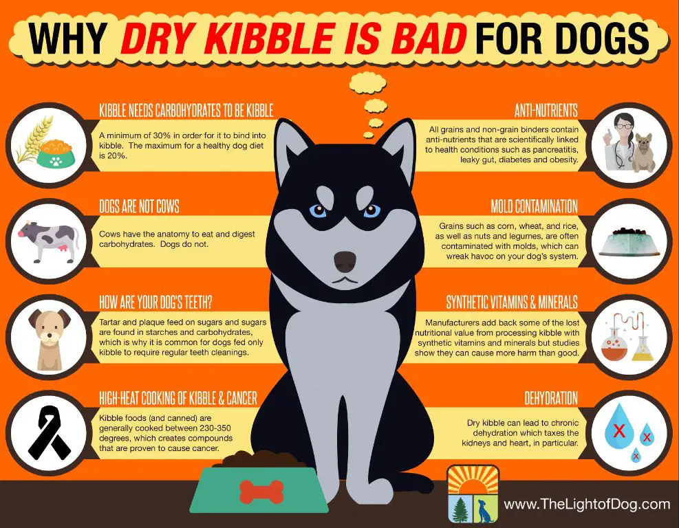 conclusion on worst dry dog foods