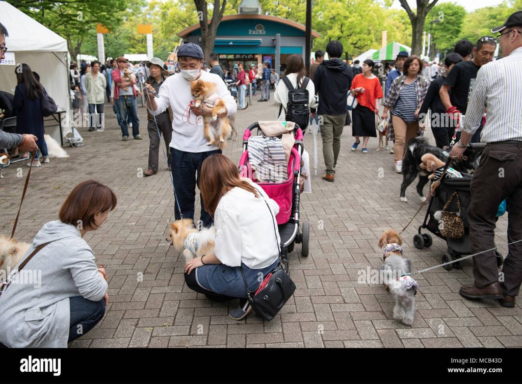 crowds at dog festival in japan