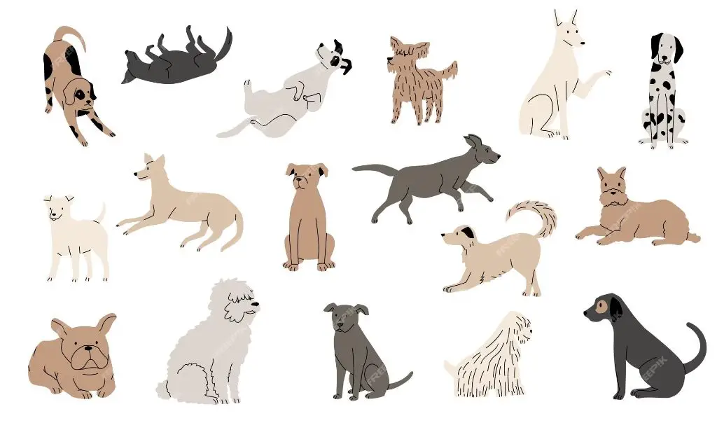 Understanding How Dogs Fit Into the Canine and Mammal Categories" - Dog