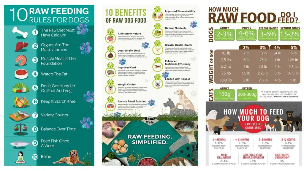 diagram of safe food handling guidelines for homemade dog food