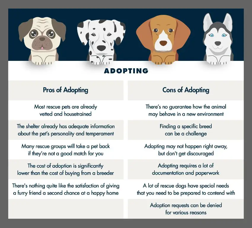 discussion of adopting vs. buying a dog