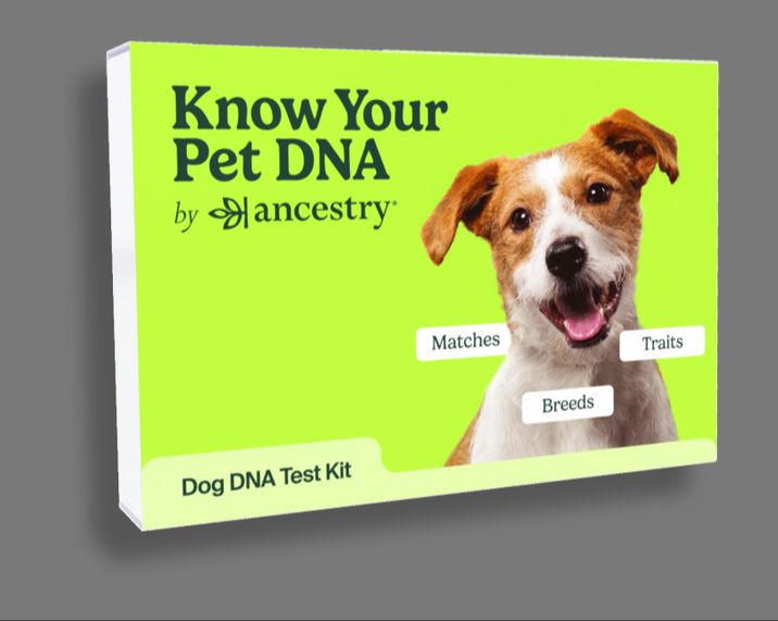 dna test kit for dogs