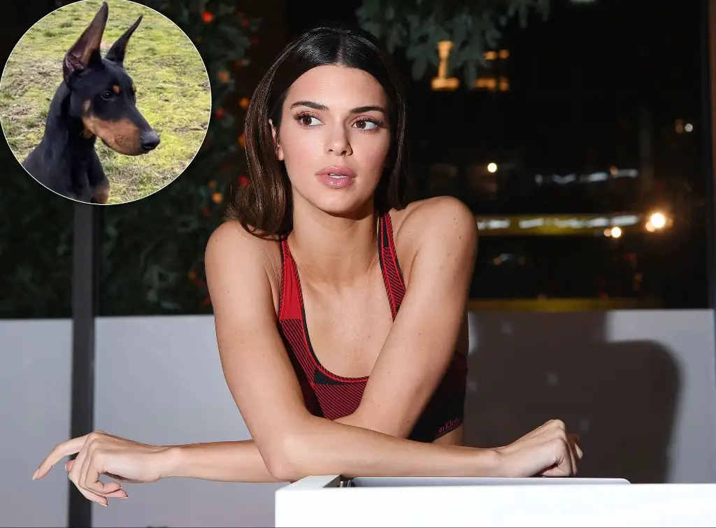 does kendall jenner own a dog?