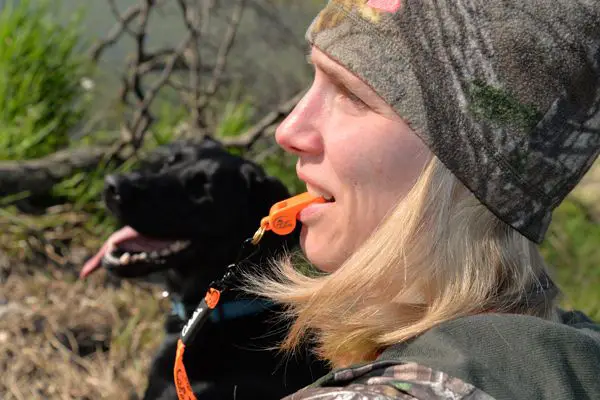 dog being trained with whistle commands