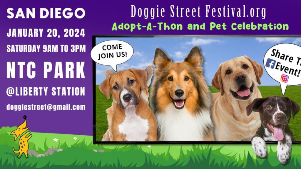 dog charity adoption event at festival