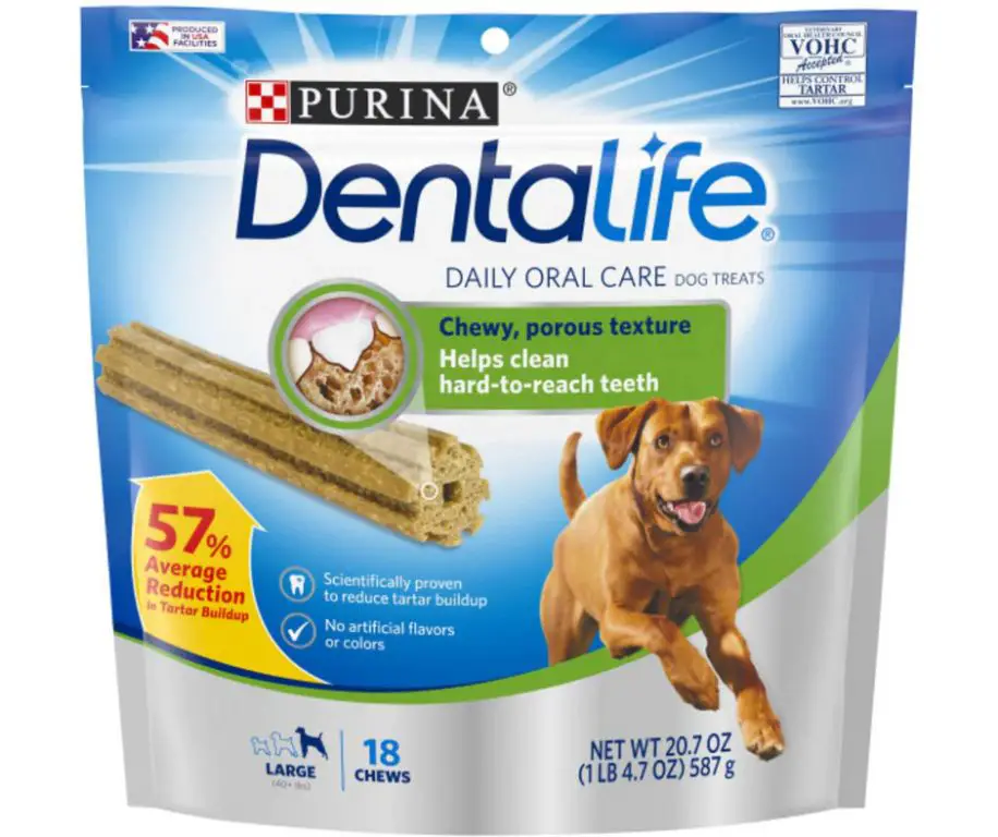 dog chewing dental chew treat