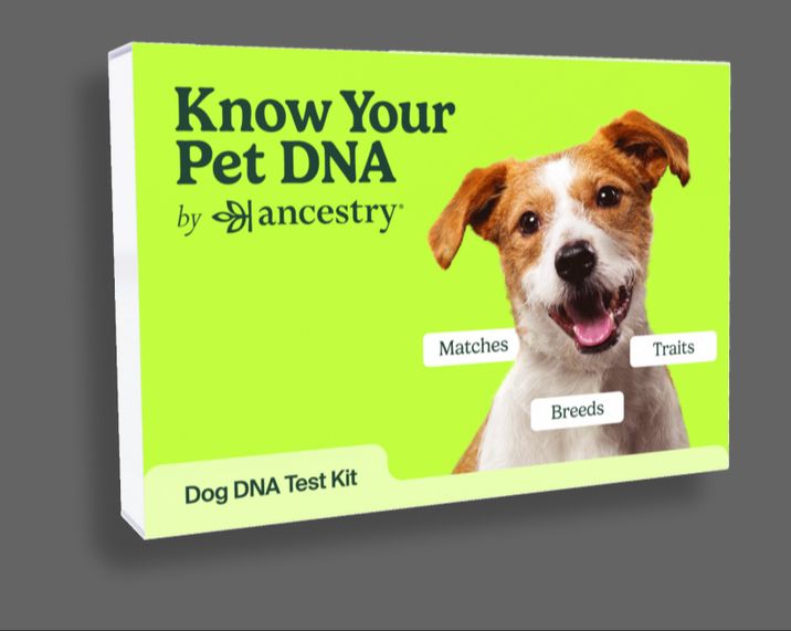 dog dna test kit with vials and instructions