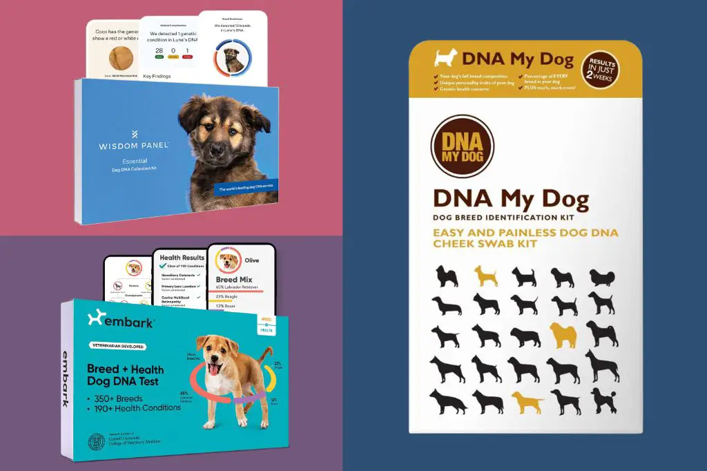 dog dna tests cost $50 to $200