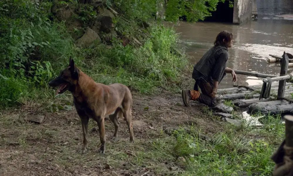 dog fighting walkers to protect daryl and judith