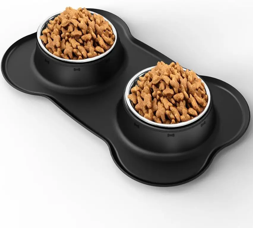 dog food bowls