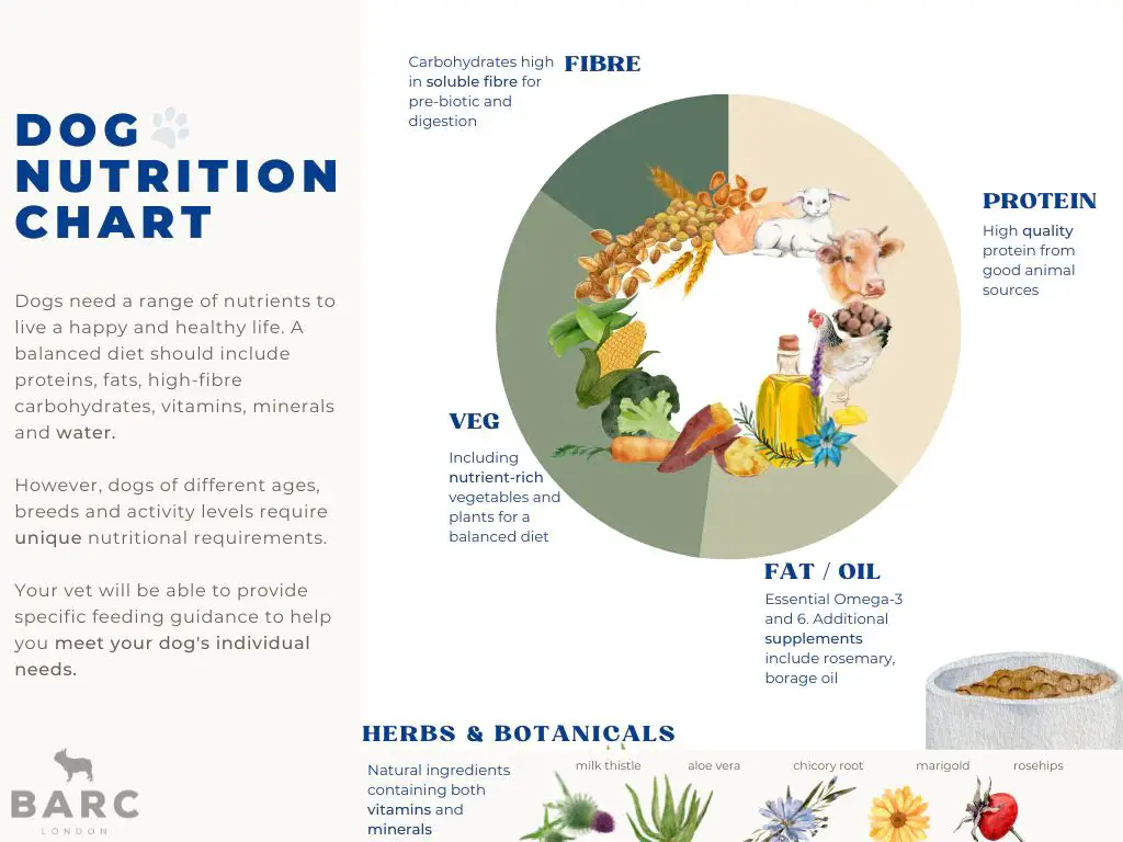 dog foods with improper nutrient balance