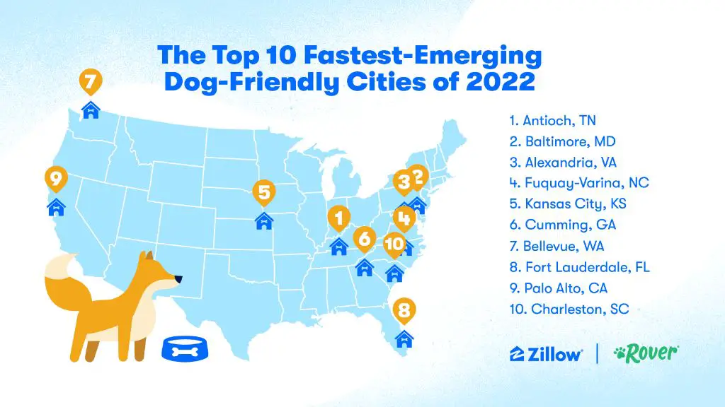 dog-friendly city rankings