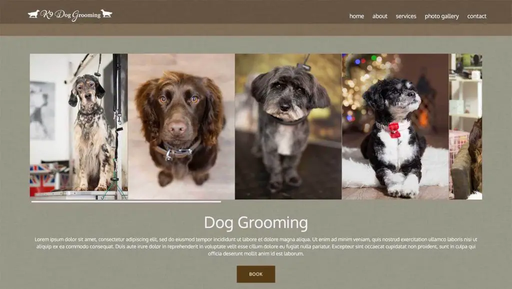 dog grooming business website