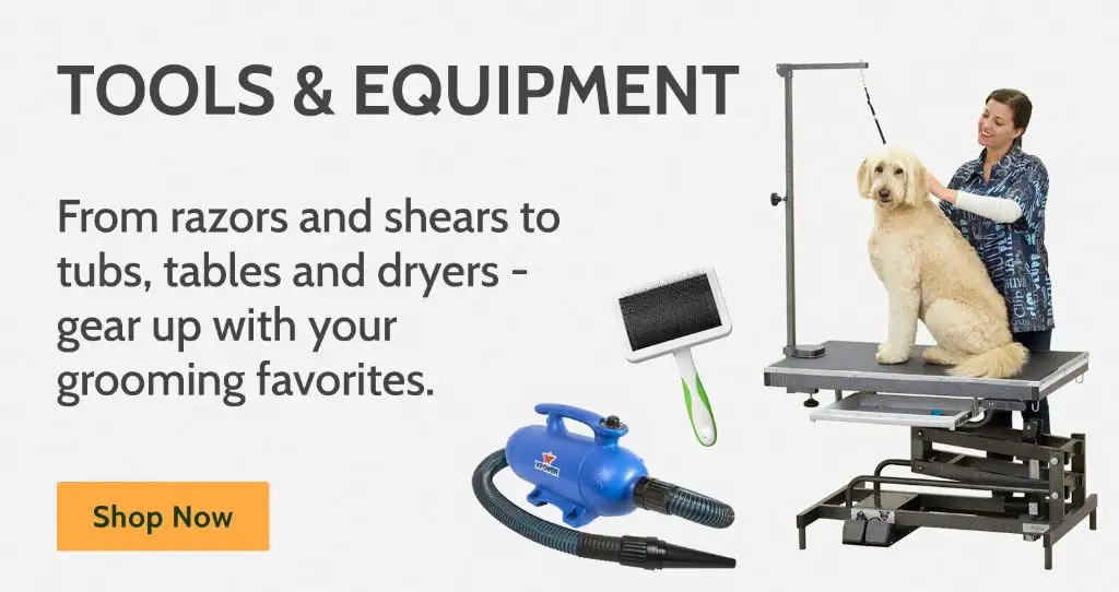 dog grooming equipment