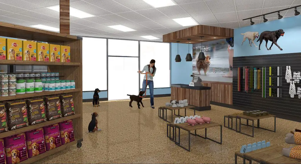 dog grooming shop interior layout