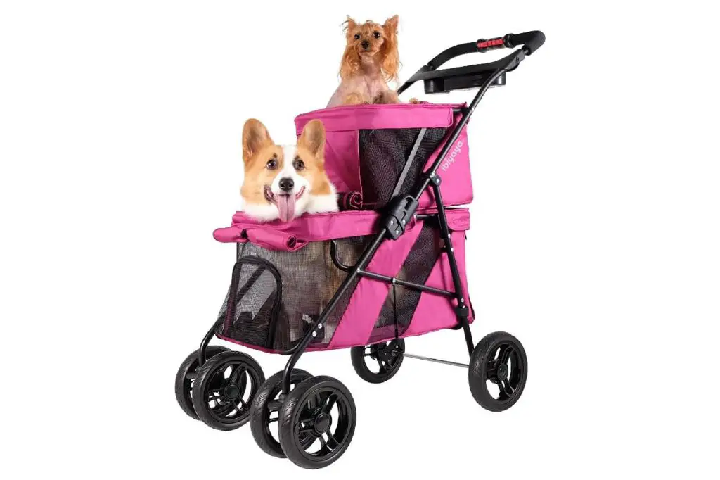 dog in a pet stroller