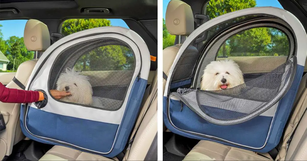 dog in crate in back seat of car