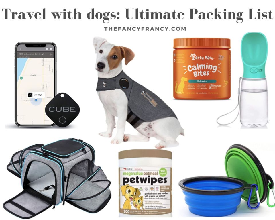 dog items packed for a road trip