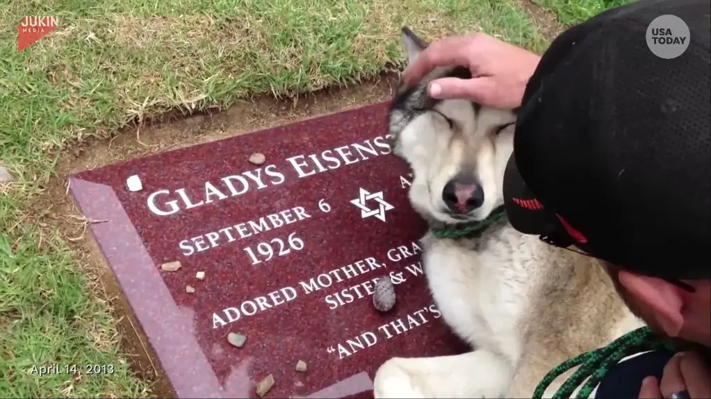 dog laying on gravestone