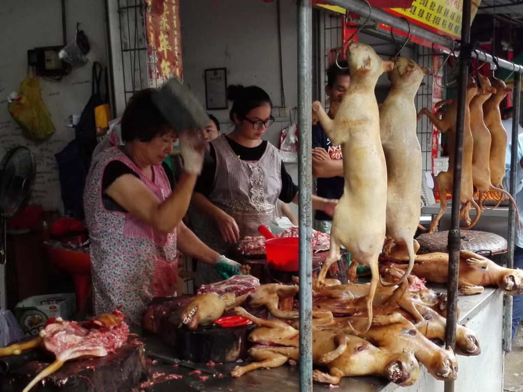 dog meat vendors at yulin festival market