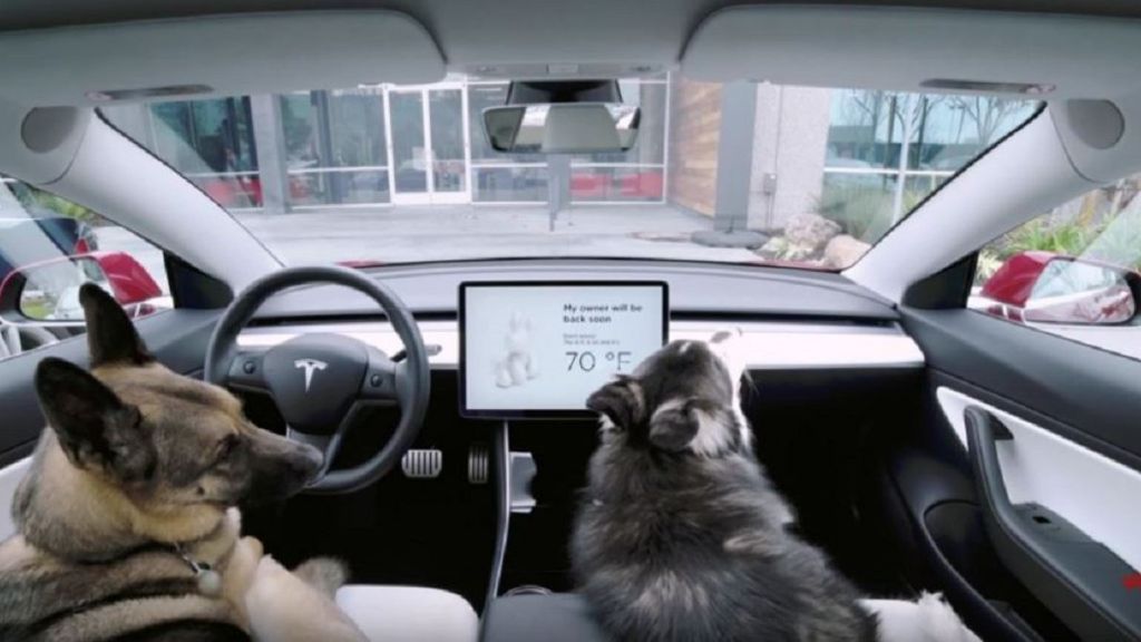 dog mode could become a mainstream feature as more automakers launch evs.